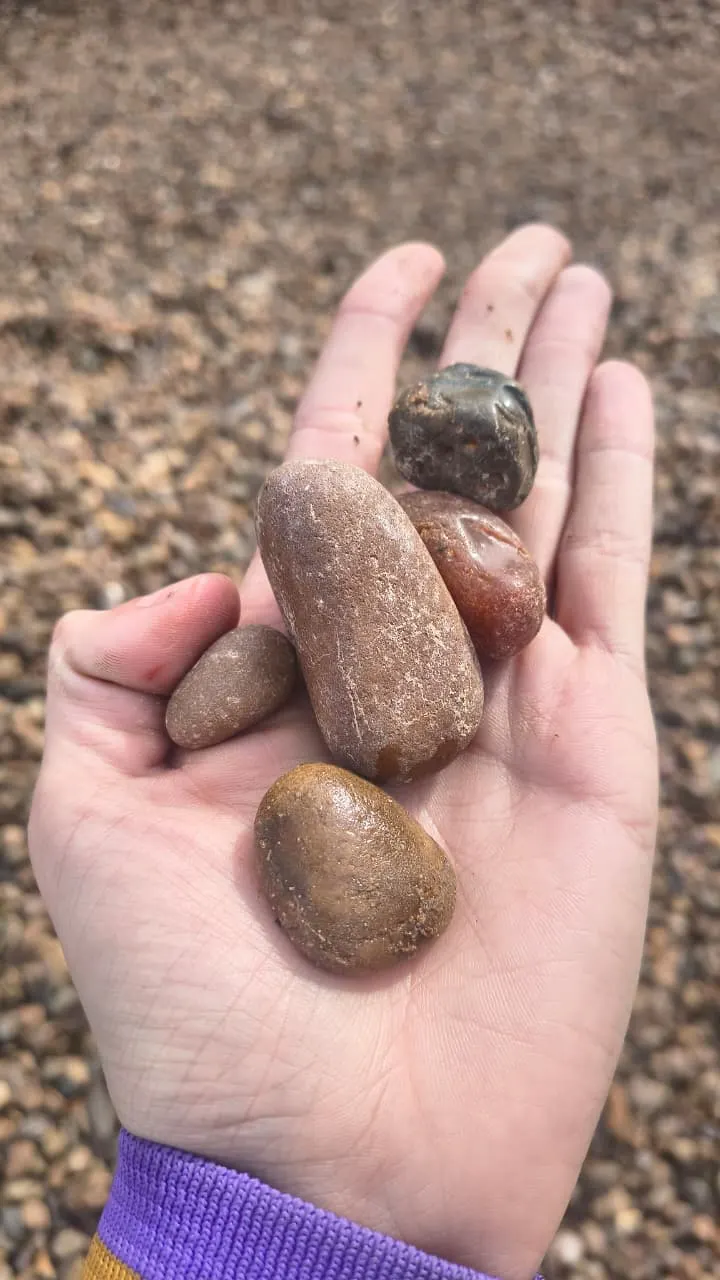 Mão segurando pedras de Seixo Marrom Nº02 para mostrar a dimensão